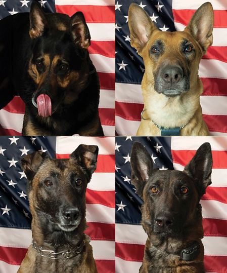 Screenshot 2024-05-23 143011