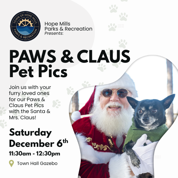 Paws and Claus Pet Pics Newsflash